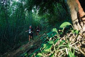 BIB: 
                            <button type="button" onclick="openModal(28124293)" class="btn btn-primary btn-sm float-right btn-popup" data-toggle="modal" data-target=".modal-high-quality">
                        <i class="fas fa-shopping-cart"></i> Add to Cart
                    </button>
                                            <button type="button" onclick="isThisMe(28124293, true)" class="btn btn-success btn-sm float-right btn-popup btn-isme hidden" data-toggle="tooltip" data-placement="bottom" title="นี่คือรูปของคุณใช่ไหม คลิกที่นี่เพื่อเอาเข้าอัลบั้ม">
                        <i class="fas fa-plus"></i> Add to album
                    </button>
                    <button type="button" onclick="isThisMe(28124293, false)" class="btn btn-warning btn-sm float-right btn-popup btn-isnotme hidden">
                        <i class="fas fa-ban"></i> Remove from album
                    </button>